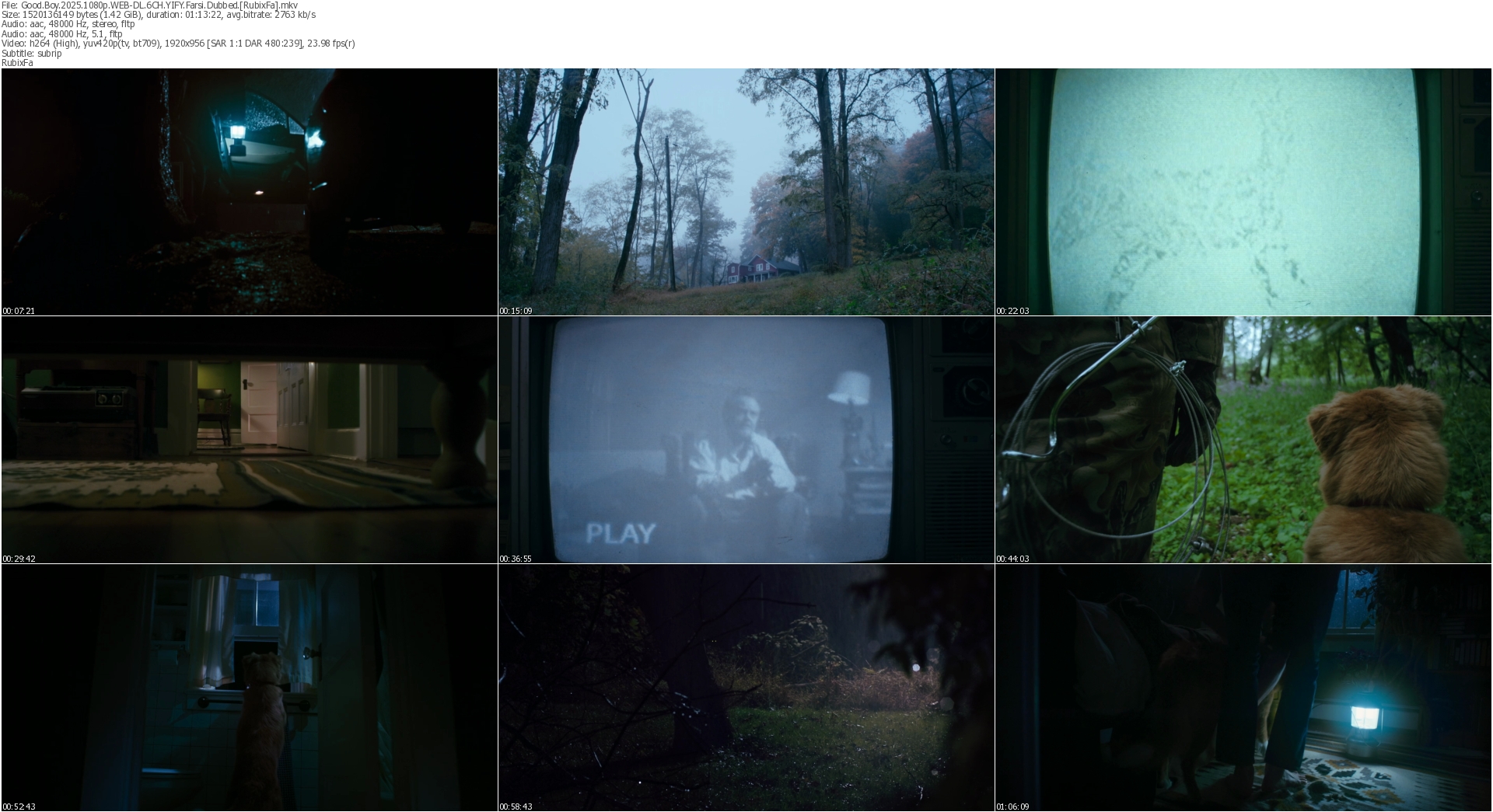 دانلود فیلم Good Boy 2025 دوبله فارسی